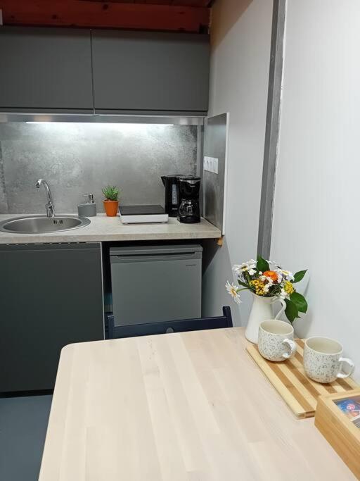 Ferdinand Art Studio Cluj-Napoca Esterno foto