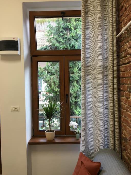 Ferdinand Art Studio Cluj-Napoca Esterno foto